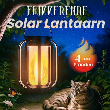 ✨️55% korting✨️Zonnelantaarn voor buiten met 4 verlichtingsstanden