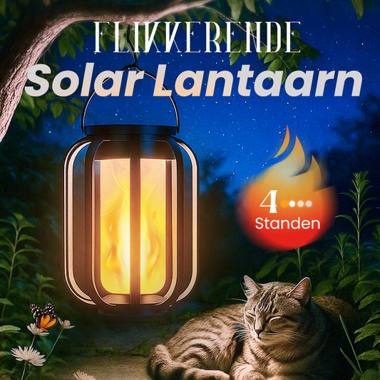 ✨️55% korting✨️Zonnelantaarn voor buiten met 4 verlichtingsstanden