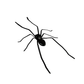 💥 Met 50% korting! 🔥 Spinnenmagneten set – gedetailleerd, levensecht, sterke magneet, duurzaam, veelzijdig voor koelkast/garage/auto, praktisch voor notities, grappig cadeau 🕷️🧲