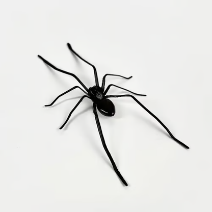 💥 Met 50% korting! 🔥 Spinnenmagneten set – gedetailleerd, levensecht, sterke magneet, duurzaam, veelzijdig voor koelkast/garage/auto, praktisch voor notities, grappig cadeau 🕷️🧲