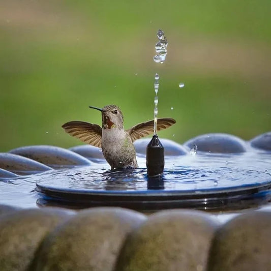 💧 NU 60% KORTING! ☀️ Fonteinpomp op zonne-energie voor vogelbad – 1,4W zonnepaneel, 4 sproeiers en dompelpomp voor vijver, tuin en zwembad 🐦
