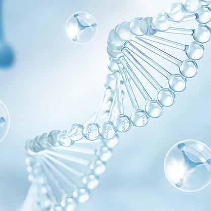 🔥2025 Hete verkoop🔥 UV Toilet Sterilisatie Lamp Set