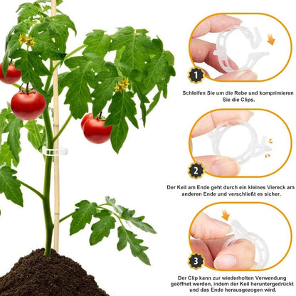 🗜️Klipjes voor klimplanten – Plastic tomatenbinders en plantenbevestigingen 🌱🍅