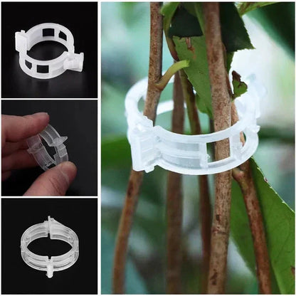 🗜️Klipjes voor klimplanten – Plastic tomatenbinders en plantenbevestigingen 🌱🍅