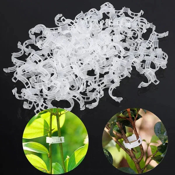 🗜️Klipjes voor klimplanten – Plastic tomatenbinders en plantenbevestigingen 🌱🍅