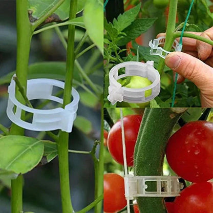 🗜️Klipjes voor klimplanten – Plastic tomatenbinders en plantenbevestigingen 🌱🍅
