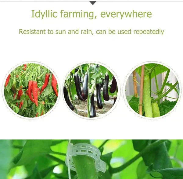 🗜️Klipjes voor klimplanten – Plastic tomatenbinders en plantenbevestigingen 🌱🍅