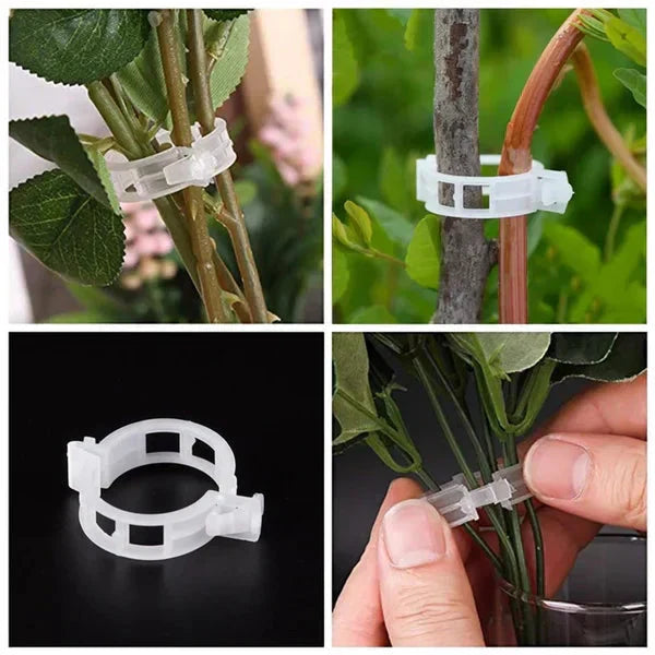🗜️Klipjes voor klimplanten – Plastic tomatenbinders en plantenbevestigingen 🌱🍅