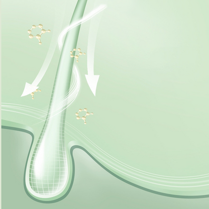 📢📢 60% KORTING🔥 Plantaardige haarkleurstof – Shampoo, bedekt grijze haren & zonder chemische geur