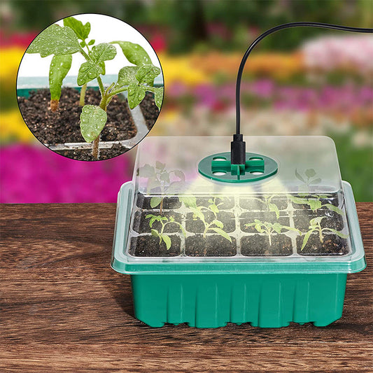 💎60% KORTING! 💎 Kweekbakken met groeilamp – Vochtregulatie, transparant en volspectrum licht 🌱💡