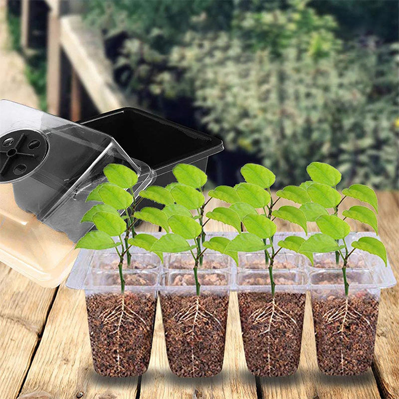 💎60% KORTING! 💎 Kweekbakken met groeilamp – Vochtregulatie, transparant en volspectrum licht 🌱💡