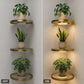 🏠 NU 50% KORTING! 💡 Zwevende wandplank met ingebouwde sfeerverlichting (LED) – Moderne plantenhouder – Perfect voor binnentuinen en appartementen ✨