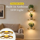 🏠 NU 50% KORTING! 💡 Zwevende wandplank met ingebouwde sfeerverlichting (LED) – Moderne plantenhouder – Perfect voor binnentuinen en appartementen ✨